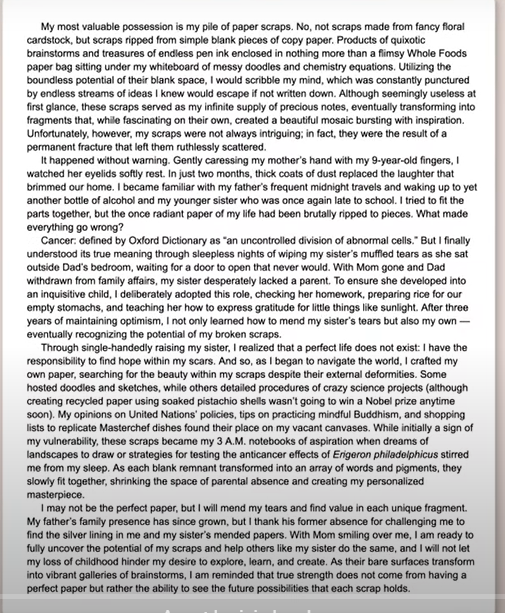 Example essay that got into a Ivy league